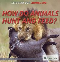 Cover image for How Do Animals Hunt and Feed?