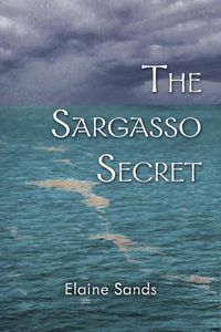 Cover image for The Sargasso Secret