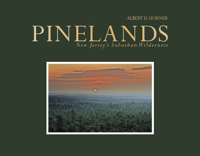 Cover image for Pinelands