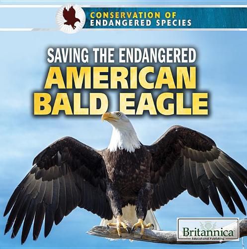 Cover image for Saving the Endangered American Bald Eagle