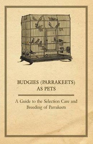 Cover image for Budgies (Parrakeets) as Pets - A Guide to the Selection Care and Breeding of Parrakeets