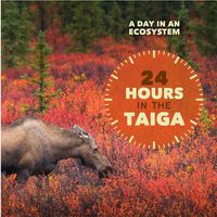 Cover image for 24 Hours in the Taiga