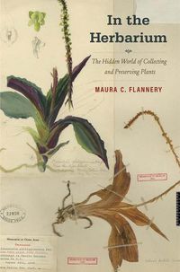 Cover image for In the Herbarium
