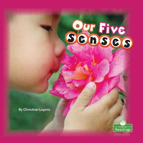 Cover image for Our Five Senses