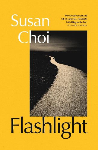 Cover image for Flashlight