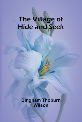 Cover image for The Village of Hide and Seek