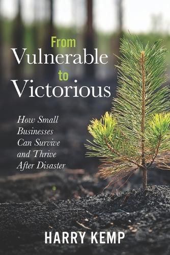 Cover image for From Vulnerable to Victorious