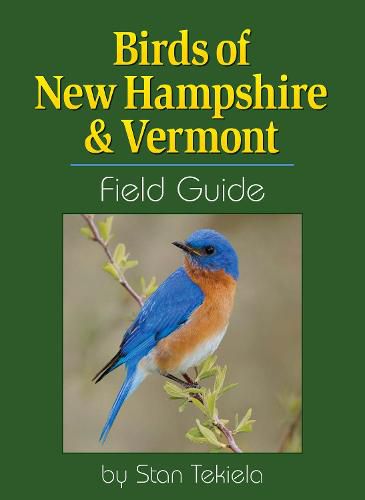 Cover image for Birds of New Hampshire & Vermont Field Guide