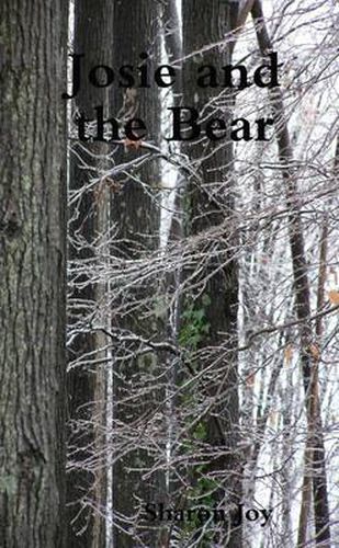 Cover image for Josie and the Bear