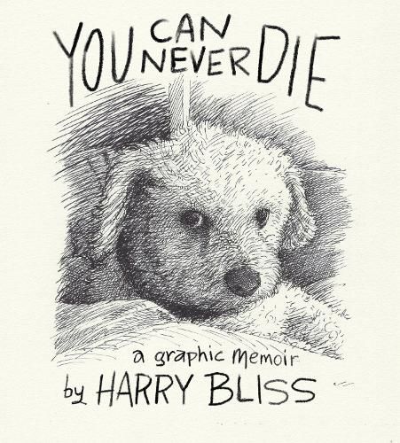 Cover image for You Can Never Die