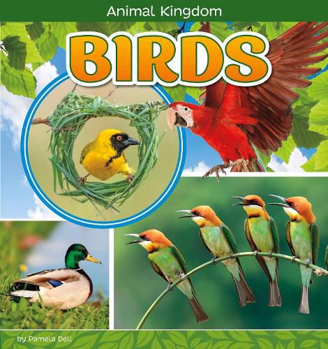 Cover image for Birds
