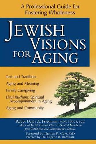 Cover image for Jewish Visions for Aging: A Professional Guide for Fostering Wholeness