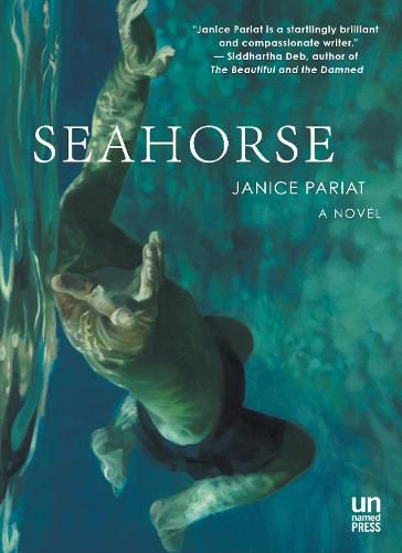 Cover image for Seahorse: A Novel