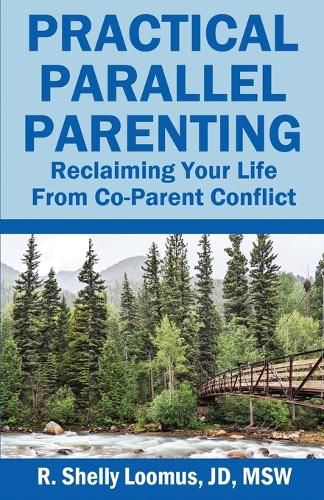 Cover image for Practical Parallel Parenting