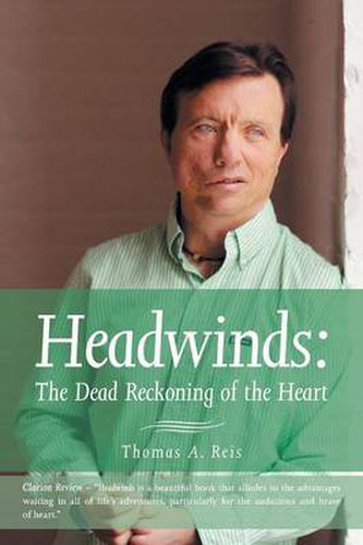 Cover image for Headwinds