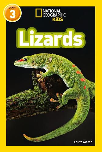 Cover image for Lizards: Level 3