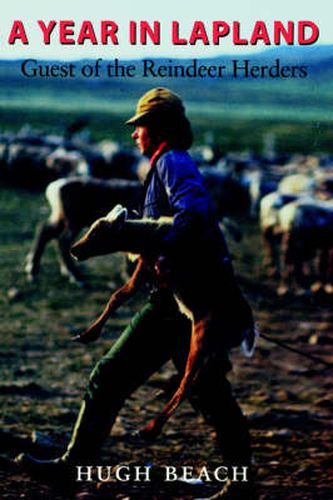 Cover image for A Year in Lapland: Guest of the Reindeer Herders