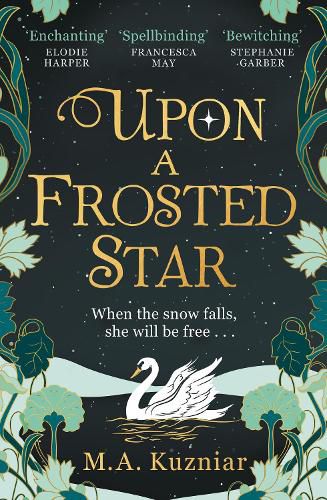 Cover image for Upon a Frosted Star