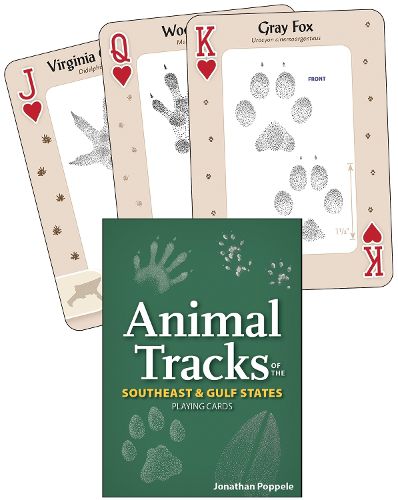 Cover image for Animal Tracks of the Southeast & Gulf States Playing Cards