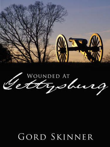 Cover image for Wounded at Gettysburg