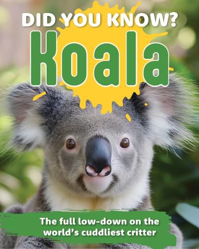 Cover image for Did You Know? Koalas