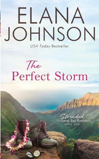 Cover image for The Perfect Storm