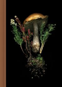 Cover image for Deep Dark Forest Mushroom Journal