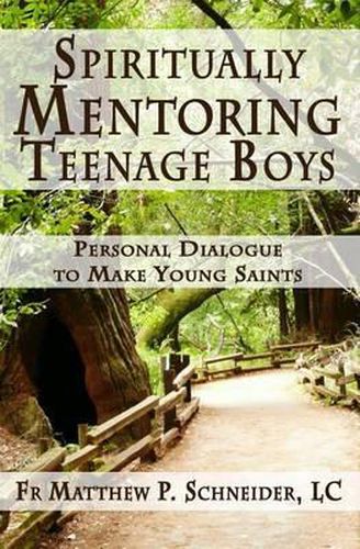 Cover image for Spiritually Mentoring Teenage Boys: Personal Dialogue to Make Young Saints