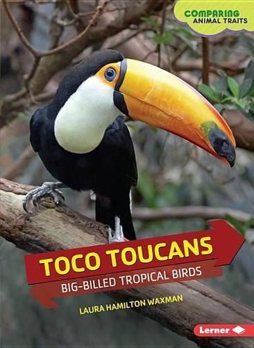 Toco Toucans: Big-Billed Tropical Birds