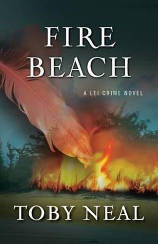 Cover image for Fire Beach