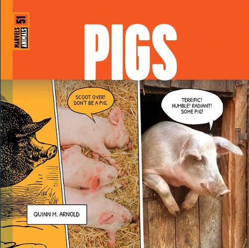 Cover image for Pigs