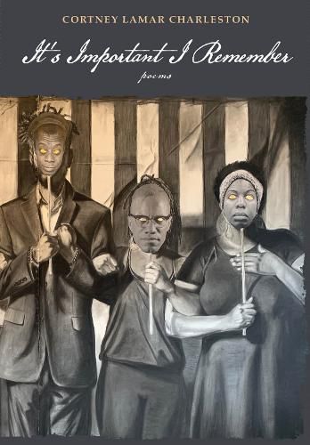 Cover image for It's Important I Remember