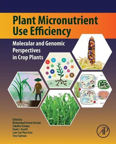 Cover image for Plant Micronutrient Use Efficiency: Molecular and Genomic Perspectives in Crop Plants