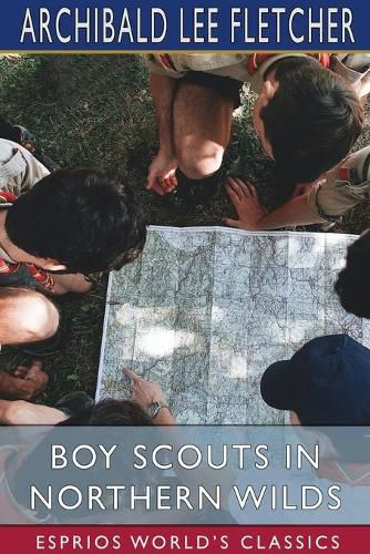 Cover image for Boy Scouts in Northern Wilds (Esprios Classics)