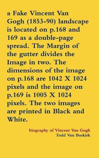 Cover image for A Fake Vincent Van Gogh (1853-90) landscape is located on p.168 and 169 as a double-page spread. The Margin of the gutter divides the Image in two. The dimensions of the image on p.168 are 1042 X 1024 pixels and the image on p.169 is 1005 X 1024 pixels...