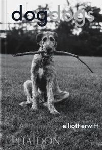 Cover image for DogDogs