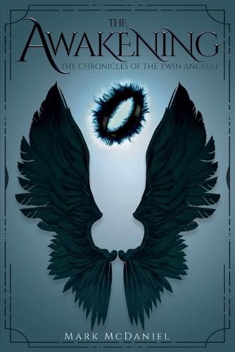 Cover image for The Chronicles of the Twin Angels