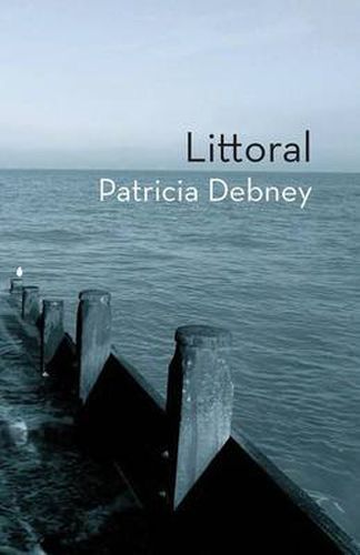 Cover image for Littoral