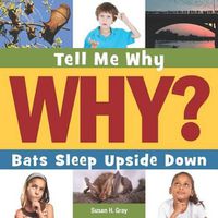 Cover image for Bats Sleep Upside Down