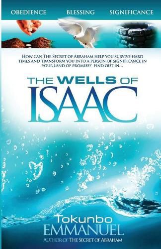 Cover image for The Wells of Isaac