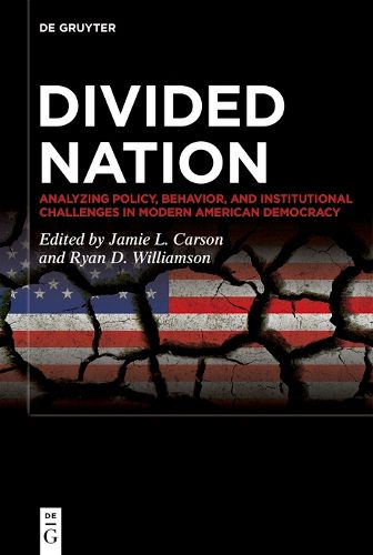 Cover image for Divided Nation