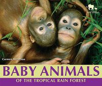 Cover image for Baby Animals of the Tropical Rain Forest