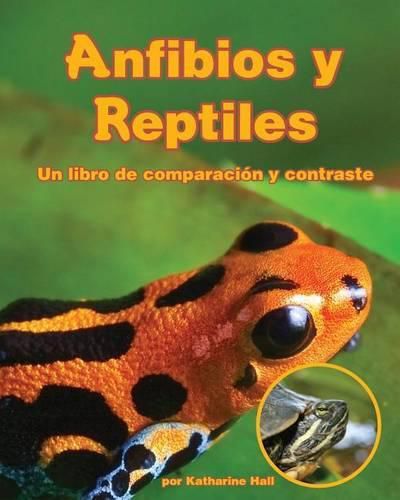 Anfibios Y Reptiles: Un Libro de Comparacion Y Contraste (Amphibians and Reptiles: A Compare and Contrast Book)