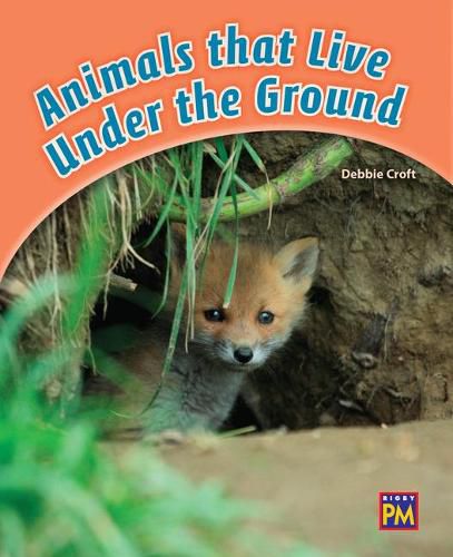 Cover image for Animals That Live Underground: Leveled Reader Orange Level 16