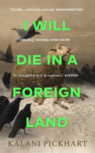 Cover image for I Will Die in a Foreign Land