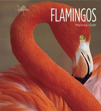 Cover image for Living Wild: Flamingos