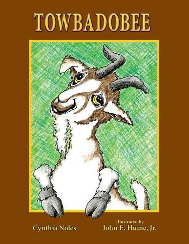 Cover image for Towbadobee