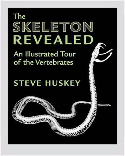 Cover image for The Skeleton Revealed: An Illustrated Tour of the Vertebrates