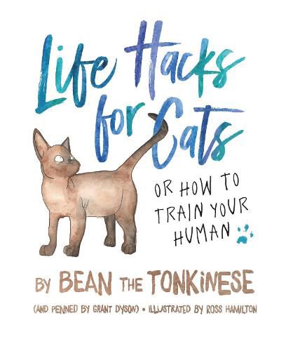 Cover image for Life Hacks For Cats: Or How To Train Your Human