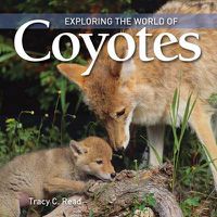 Cover image for Exploring the World of Coyotes